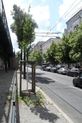 Baumreihe eingezwängt zwischen Hochbahn und Straße