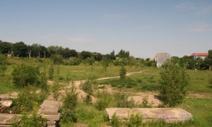 Nasses Dreieck - Blick in Richtung Nordbahn - Foto: Grünzüge Berlin