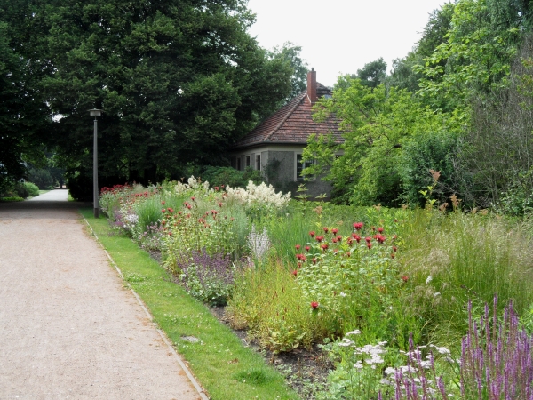 Botanischer Volkspark Blankenfelde-Pankow: Staudenpflanzungen