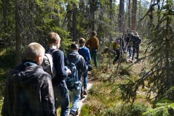 Wanderung im Hamra Nationalpark in Schweden - Foto: Anna Geisler