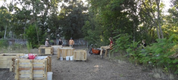 Interkultureller Gemeinschaftsgarten Mauerpark - 23.7.2013