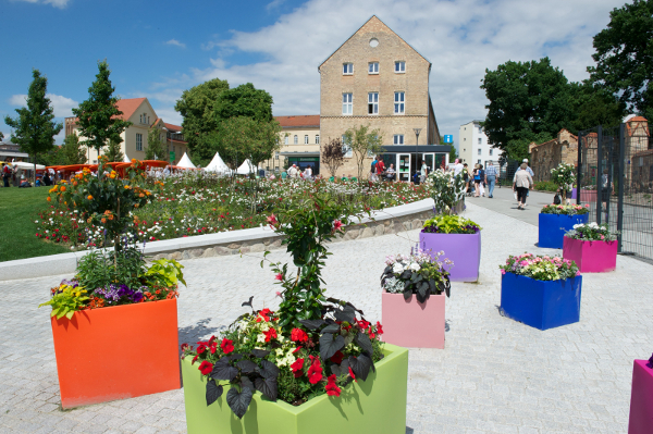 Blick zur Blumenhalle / Foto: Stefan Gloede