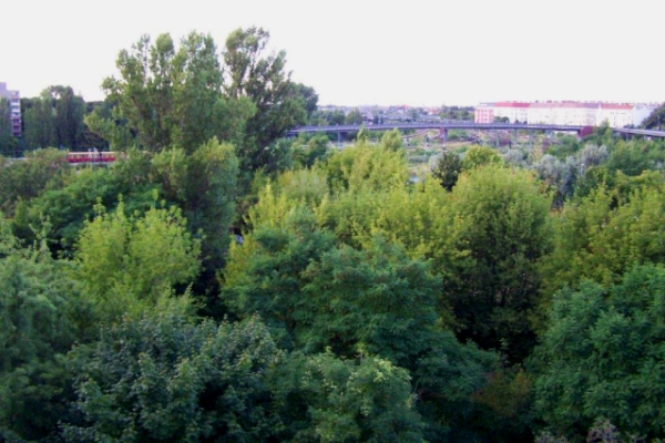 Mauerparkblick im August aus dem Wohnhaus der DEGEWO an der Gleimstrasse