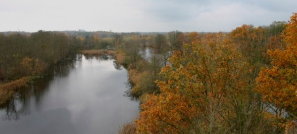 Köppchensee im Herbst - Foto: NABU, Scharon