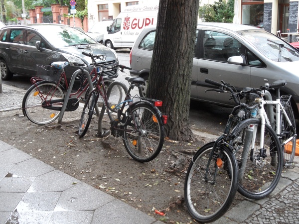 Pappelallee: was sagt deser Baum zur bishergen Planung? Pappelallee: was sagt deser Baum zur bishergen Planung?