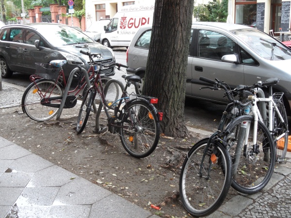 Pappelallee: was sagt deser Baum zur bishergen Planung?