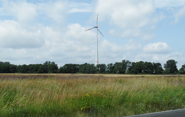 Windkraftanlage in Pankow auf ehemaligen Rieselfeldern