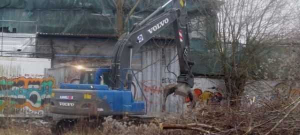 Rodung am Mauerpark am 3.2.2014