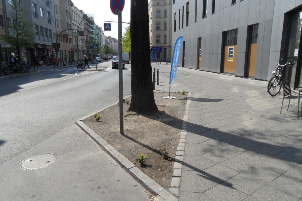 Garbátyplatz; Pankows peinlichste Baumscheibe