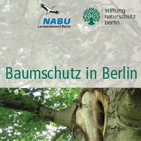 Baumschutz in Berlin