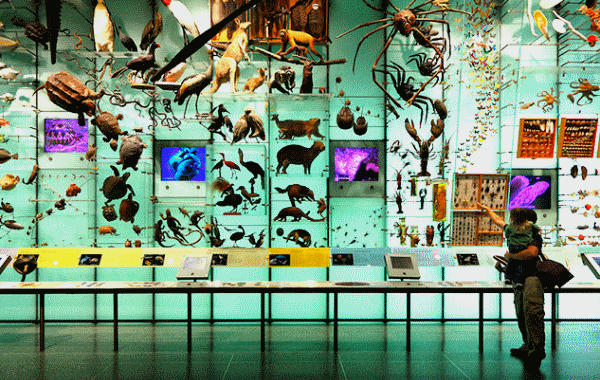 Museum of Natural History