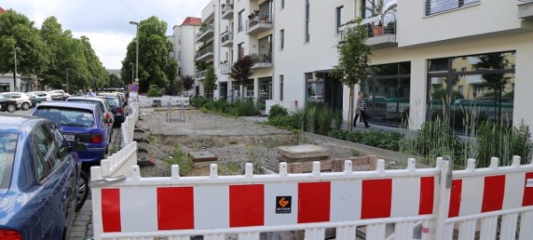 Weizen blüht in der Ossietzkystraße