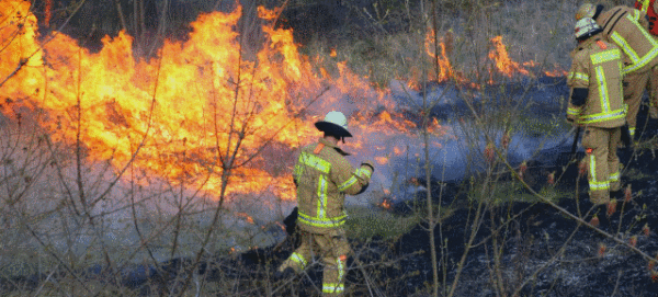 Waldbrandgefahr! Warnstufe 5