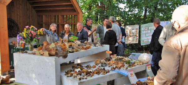 Erntefest am BARNIM PANORAMA