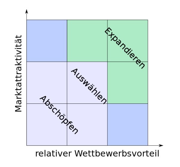 Mckinsey Portfolio