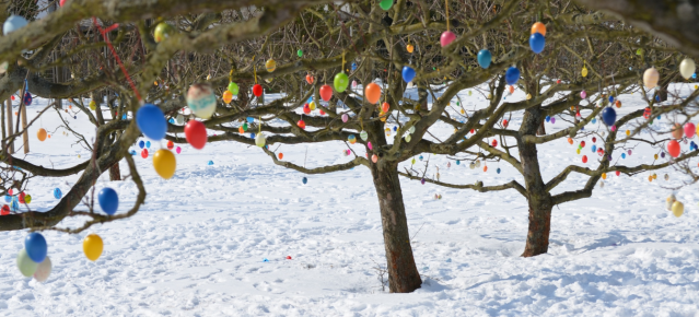 Kalte Ostern - Osterschmuck 2013