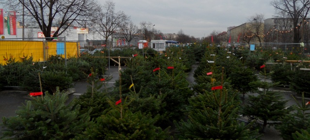 Weihnachtsbäume kaufen in Berlin