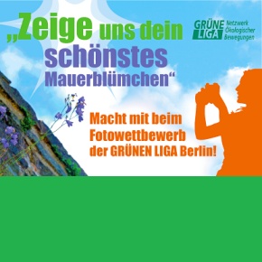 Grüne Liga