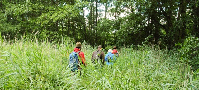 Familienwanderungen im Herbst