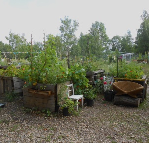 Urban Gardening im Mauerpark