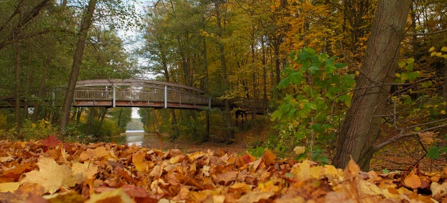 Werbellinkanal im Herbst