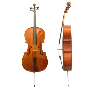 Violoncello