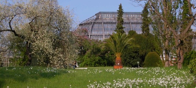 Botanischer Garten - Schaugewächshaus