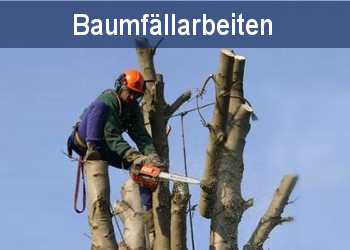 Baumfällarbeiten Pankow