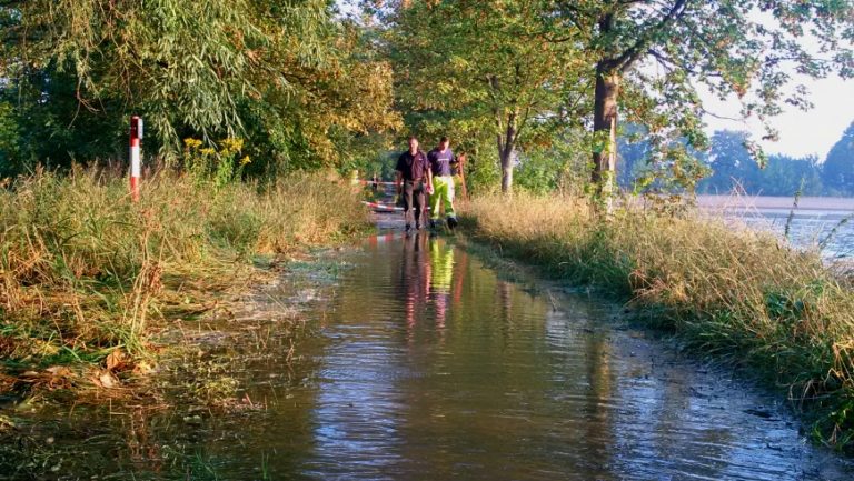 Sonnenaufgang erster temporärer Karower Teich