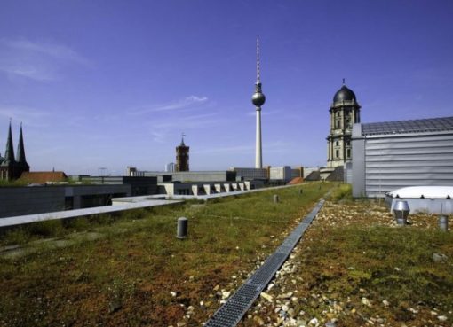 Begrüntes Dach der Unternehmenszentrale der Berliner Wasserbetriebe