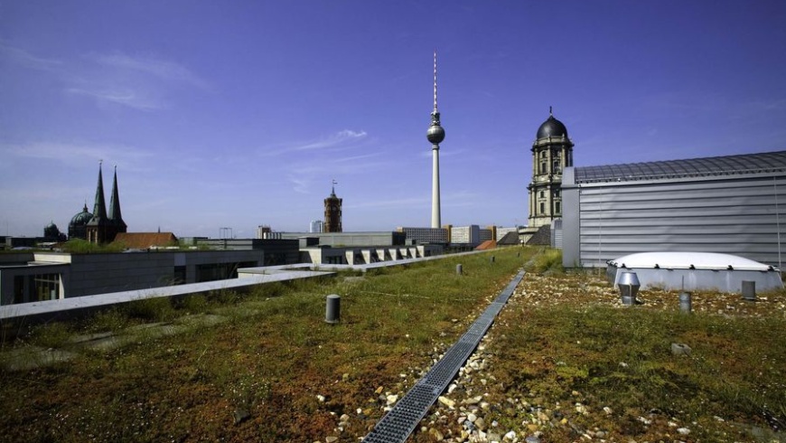 Begrüntes Dach der Unternehmenszentrale der Berliner Wasserbetriebe