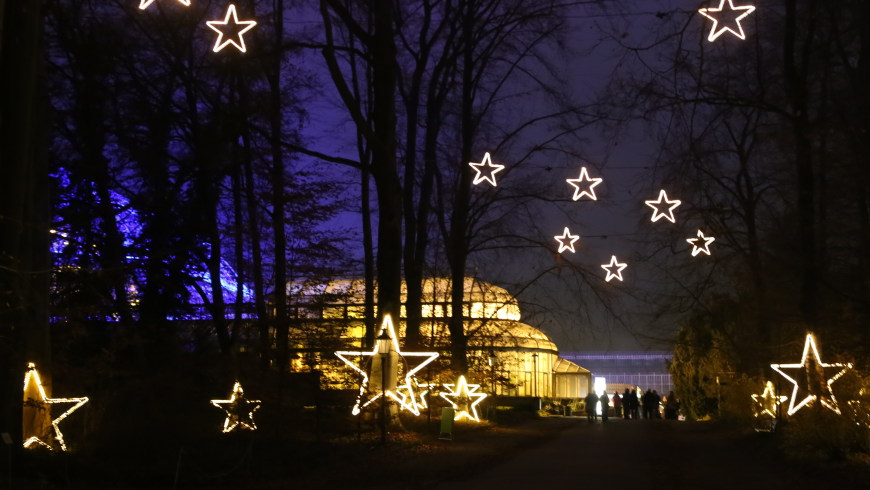 Christmas Garden Berlin 2016 © sceene.berlin