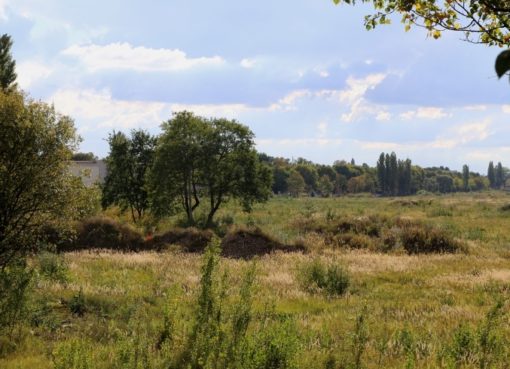 Ehemaliger Rangierbahnhof Pankow