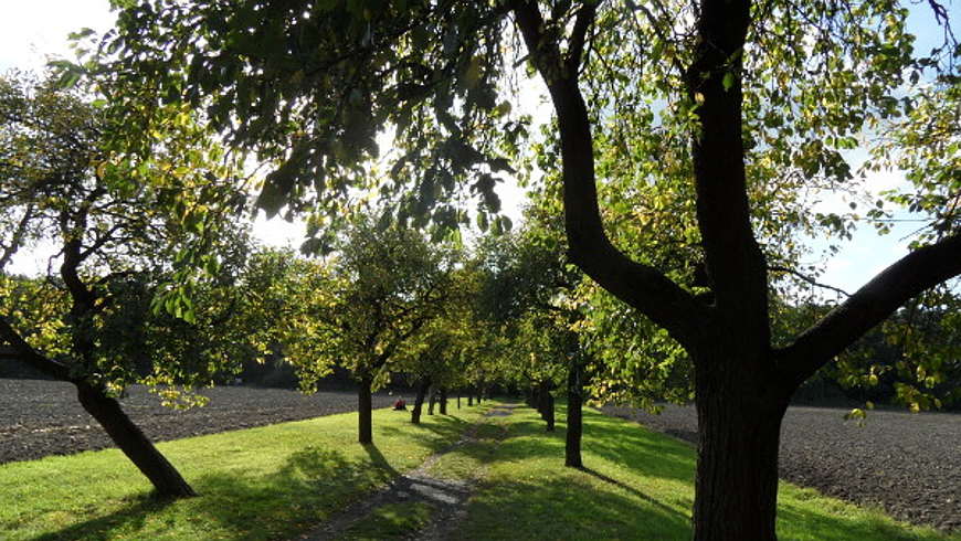 Volkspark Blankenfelde - Foto: © visitPankow