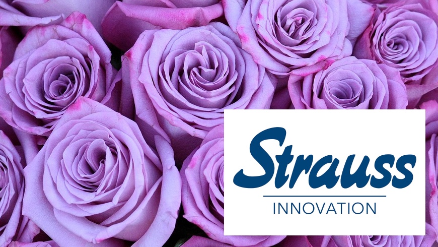 Strauss Innovation schliesst