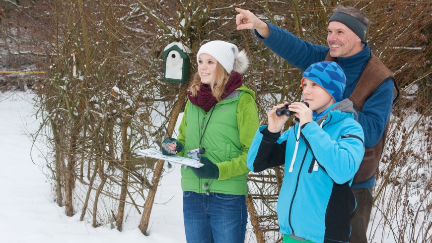 Stunde der Wintervvögel