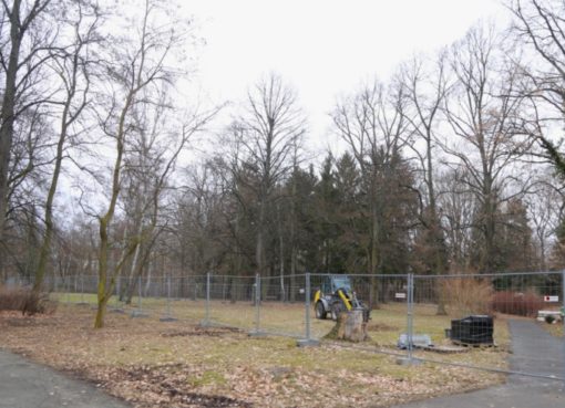 Fraenkelpark in Lankwitz vor Abholzung