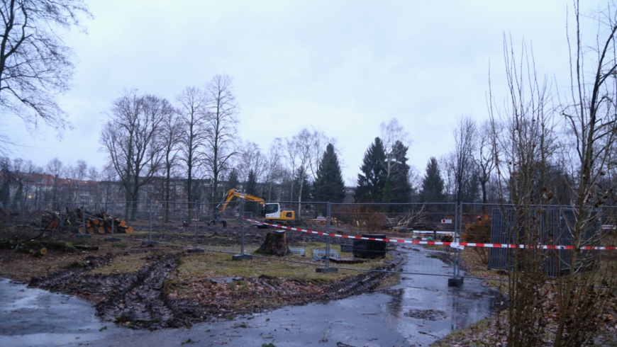 Fraenkelpark in Lankwitz nach Abholzung