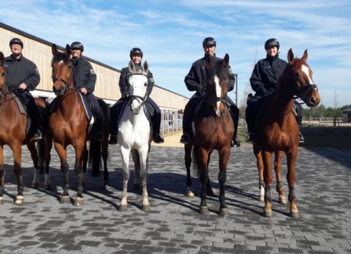 Bundespolizei: Reiterstaffel