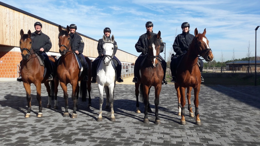 Bundespolizei: Reiterstaffel