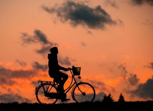 Schöne Radtouren in und um Pankow