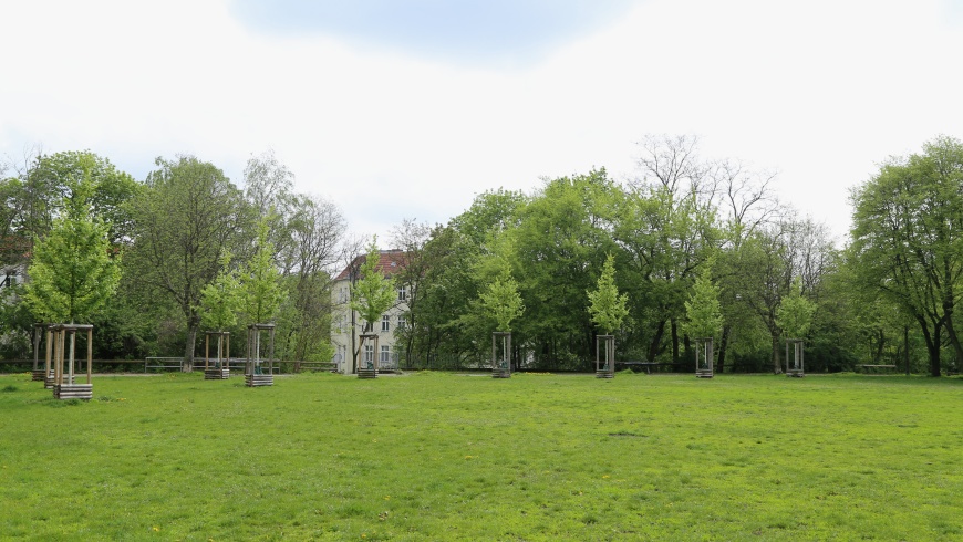 Neue Bäume auf dem Brennerberg