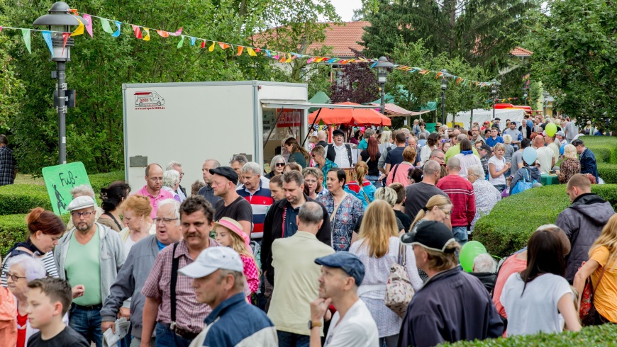 Sommerfest in der Albert Schweitzer Stiftung