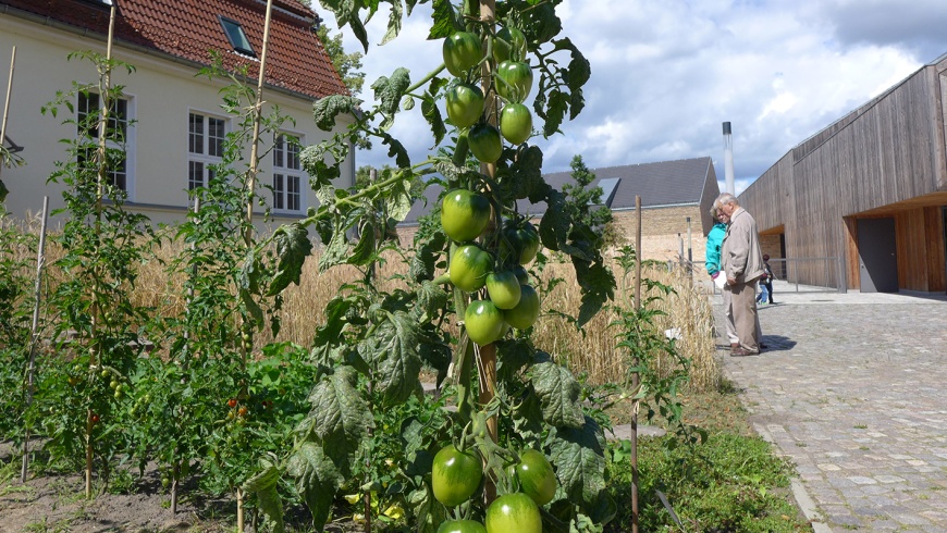 BARNIM PANORAMA Schaugarten