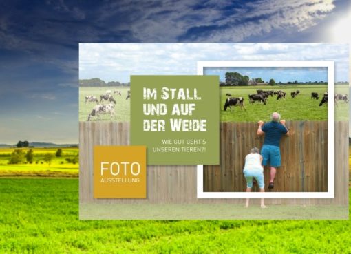 Ausstellung im BARNIM PANORAMA