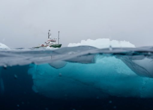 Greenpeace-Schiff "Arctic Sunrise"