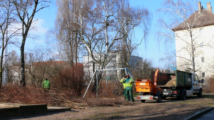 Deutsche Wohnen: Rodungsarbeiten