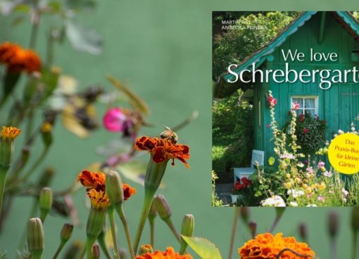 "We love Schrebergarten"