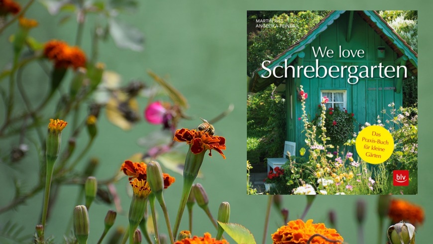 "We love Schrebergarten"