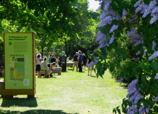 Welt-Acker im Bot. Volkpark Blankenfelde